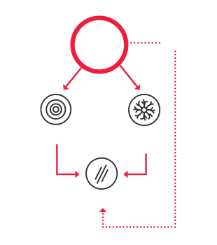 timeline