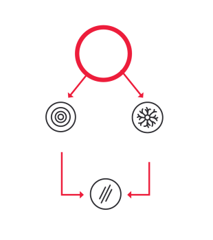 timeline
